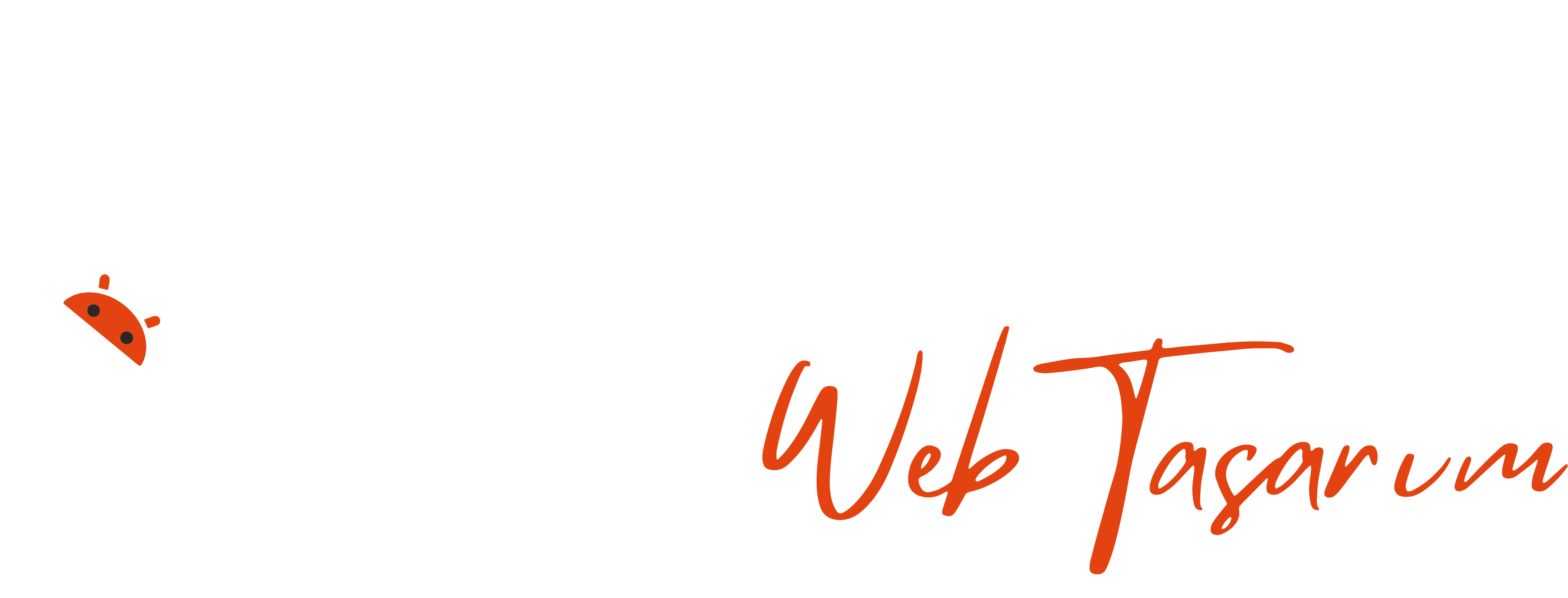 LS Yazılım